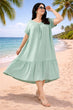 Solid Flared Dress