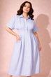 Blue Stripe Shirt Dress with Pleated Waist