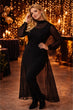 Black Solid Sheer Cover Dress