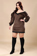 Brown Solid Winter Dress