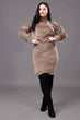 Light Brown Top with Skirt Set